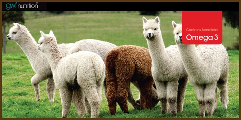 Camelibra Alpaka Mineralfutter