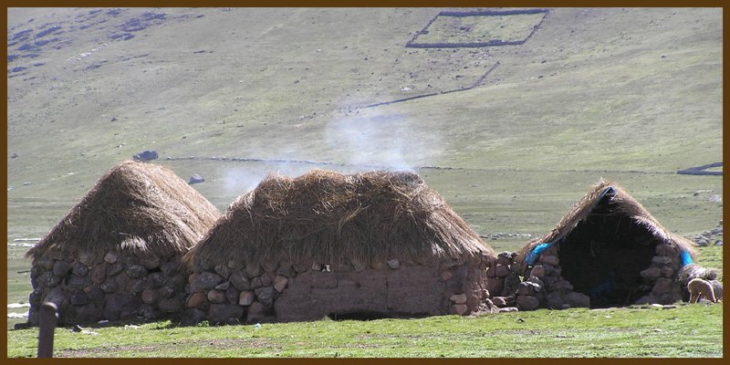 Alpaka Bauernhütte Anden
