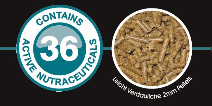 Camelibra Aktive Inhaltsstoffe