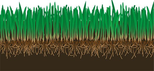 Terra Preta Rasen Nutzung