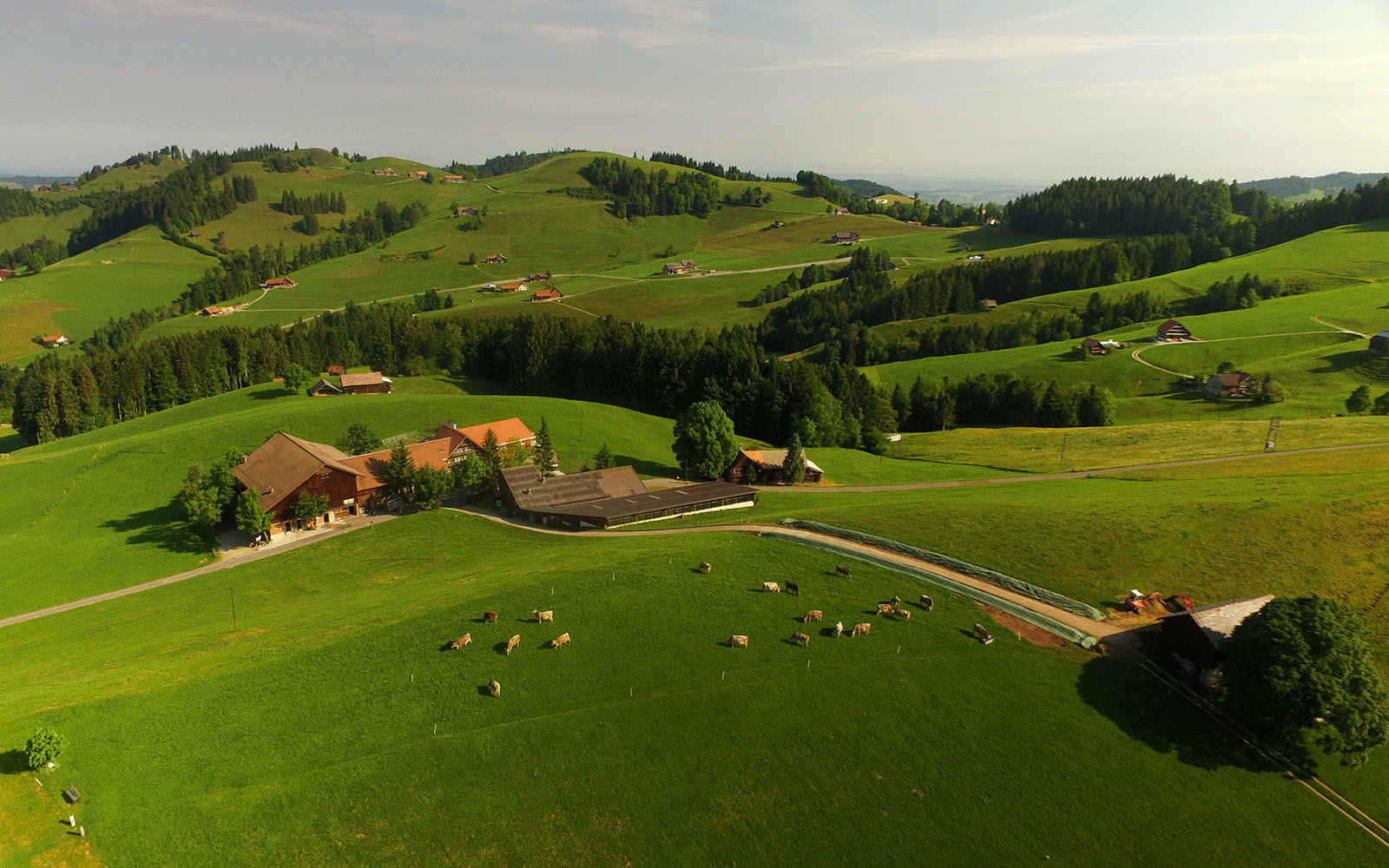 Landwirtschaftsbetrieb mit Bauernhaus, Weideflächen und Kompostwindrow in der Ostschweiz