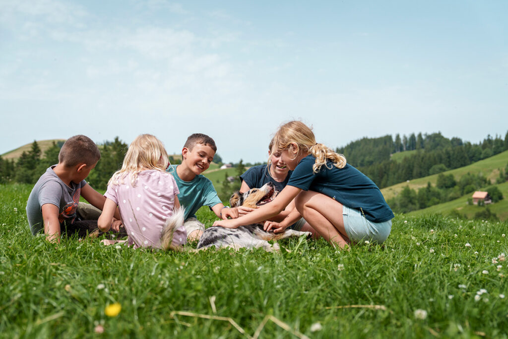 Kinder streicheln freundlichen Hund auf dem Bauernhof – Ferien auf dem Alpakahof in der Schweiz