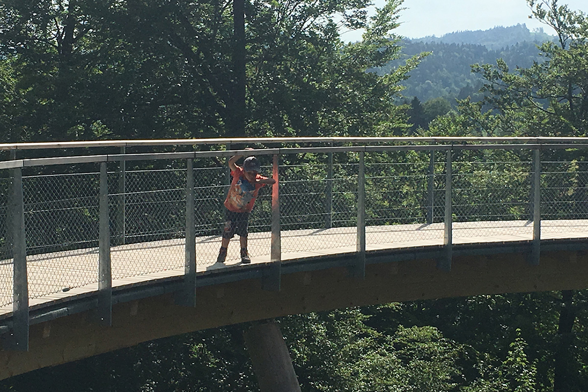 Baumwipfelpfad Neckertal im Toggenburg