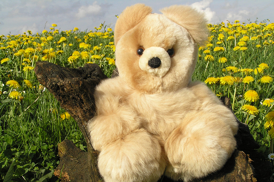 Baby Alpakafell Teddybär auf einem Baumstumpf in einer Blumenwiese